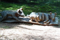 SAM_0880