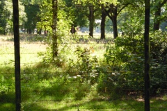 SAM_0889