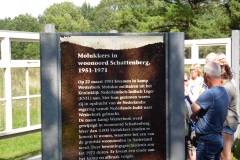 SAM_0897