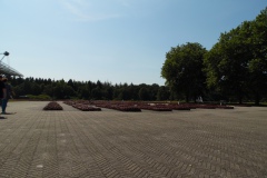 SAM_0915