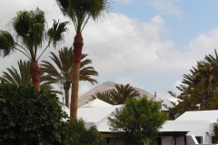 SAM_0065