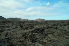SAM_0113