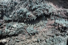 SAM_0123