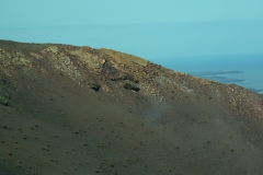 SAM_0131