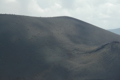 SAM_0135