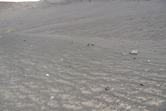 SAM_0158