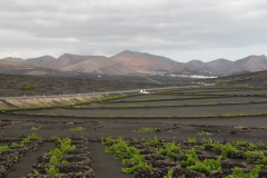 SAM_0184