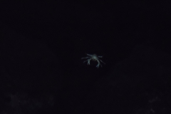 SAM_0203