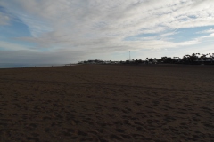 SAM_0243
