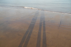 SAM_0249