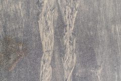 SAM_0250