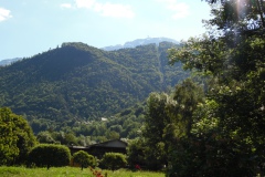 SAM_1339