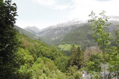 SAM_1360