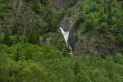SAM_1365