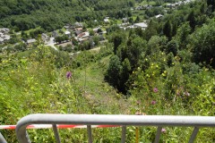 SAM_1377