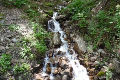 SAM_1378