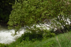 SAM_1404