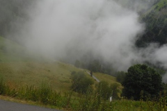 SAM_1469