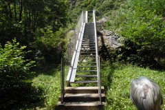 SAM_1485