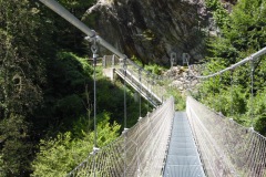 SAM_1491