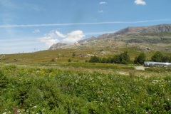 SAM_1494
