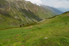 SAM_1605