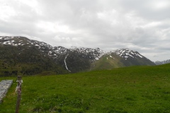 SAM_1606