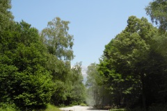 SAM_1611
