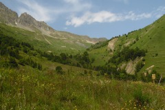 SAM_1634