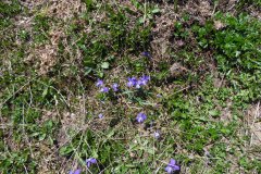 SAM_1637