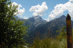 SAM_1659