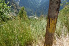 SAM_1660
