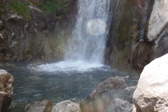 SAM_1684