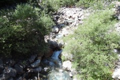 SAM_1688