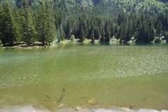 SAM_1758
