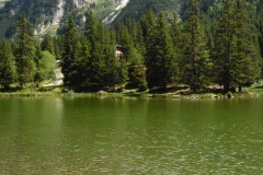 SAM_1761