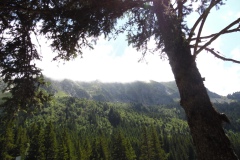 SAM_1765