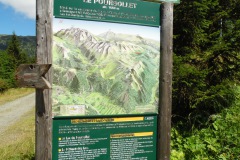 SAM_1769