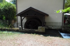 SAM_1879