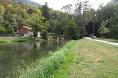 SAM_1880