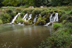 SAM_1882