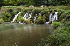 SAM_1883