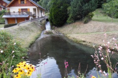 SAM_1074