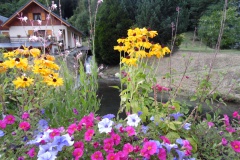 SAM_1075