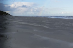 20191119_103948
