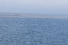 20191122_121016