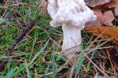 20201117_120849