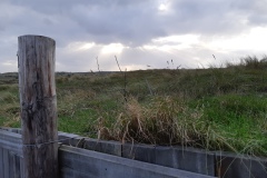 20201119_144958