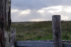 20201119_145048