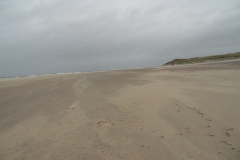 SAM_0530